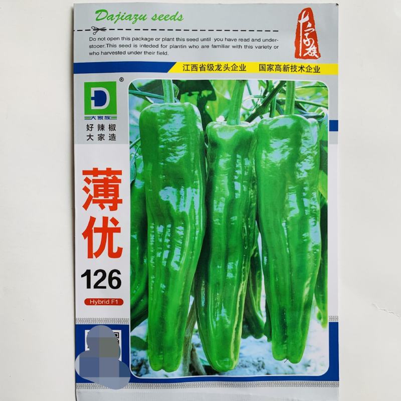 大家族薄优126翠绿皮大果薄皮泡椒种子抗病强薄皮椒种子