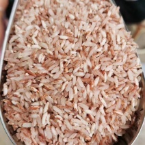 红软米