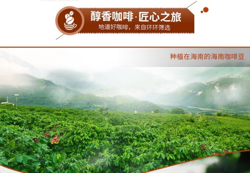 海南特产南国炭烧咖啡椰奶咖啡680苦味香醇浓郁提神