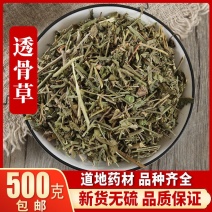 中药材透骨草野生透骨草中草药野生透骨草，包邮