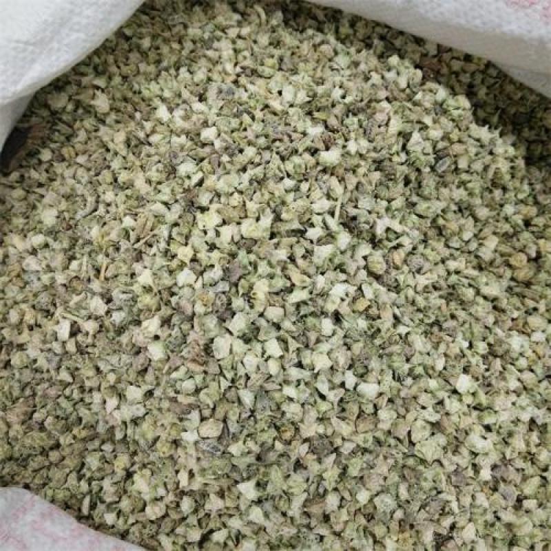 蒺藜，野生刺蒺藜新货撞刺质量保证现货供应欢迎咨询合作！