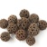 路路通，野生路路通干货质量保证现货供应欢迎咨询合作！