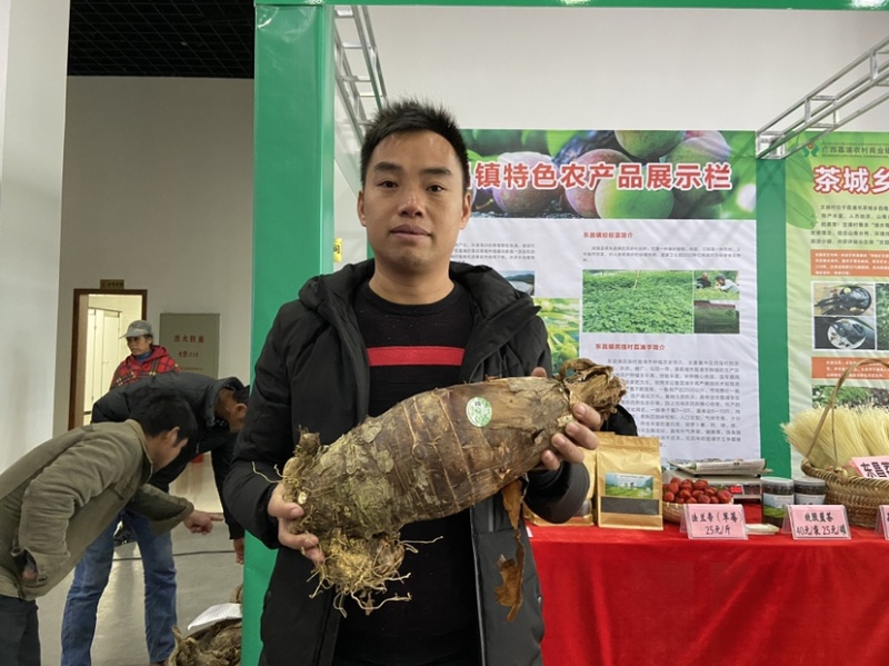 正宗广西荔浦芋头，欢迎老板来一亩田找我、