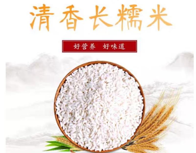 糯米农家糯米圆粒圆粒糯米煮饭熬粥五谷杂粮糯米包邮