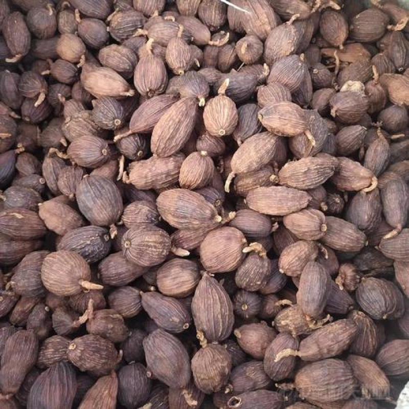 草果，云南草果大颗粒质量保证现货供应欢迎咨询合作！