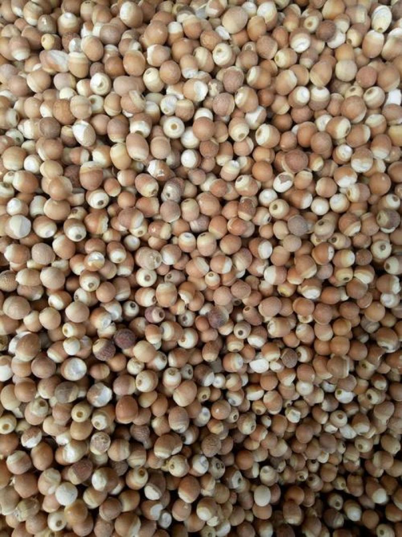 芡实，屈头鸡，芡实米新货质量保证现货供应欢迎咨询合作！