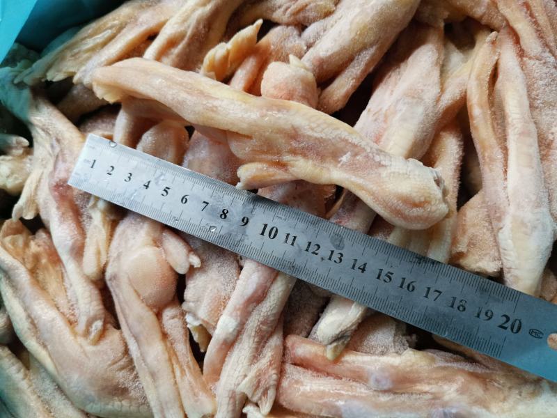 大鸭掌7~8个一斤大鸭脚一箱20斤鲍汁扣掌专用无瘀血