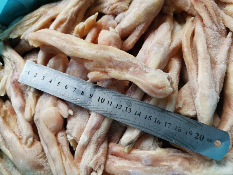 大鸭掌7~8个一斤大鸭脚一箱20斤鲍汁扣掌专用无瘀血