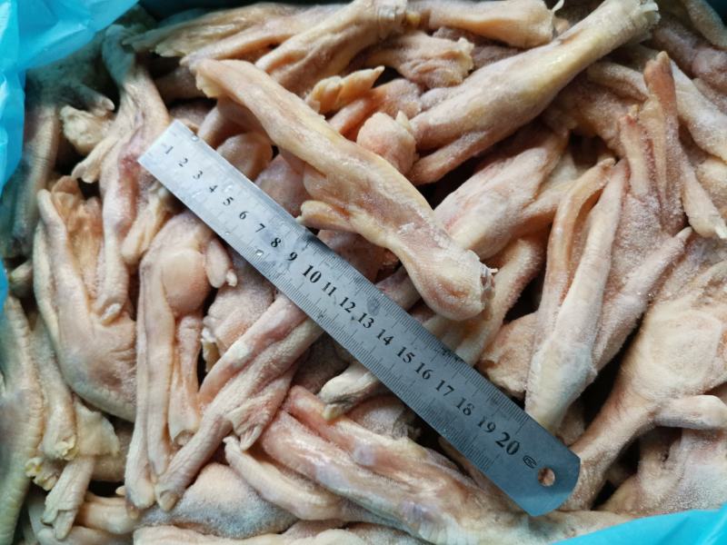 大鸭掌7~8个一斤大鸭脚一箱20斤鲍汁扣掌专用无瘀血