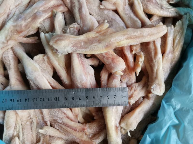大鸭掌7~8个一斤大鸭脚一箱20斤鲍汁扣掌专用无瘀血