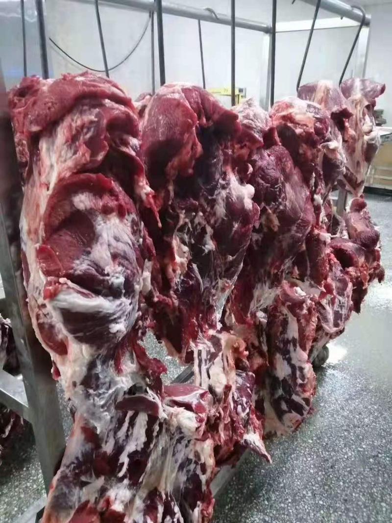 牛肉黄牛肉，纯干无水，每天现杀，保鲜发货。货源充足