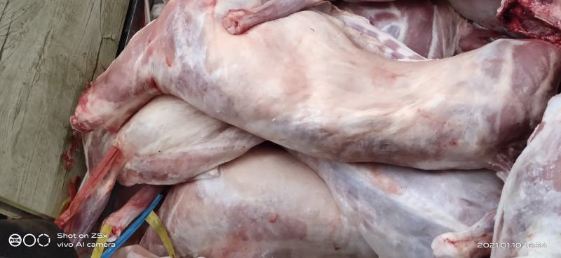 烤全羊8-15斤大小规格都有货源充足，量大从优。