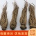岷县当归个当归全当归个当归个子整条当归中药材