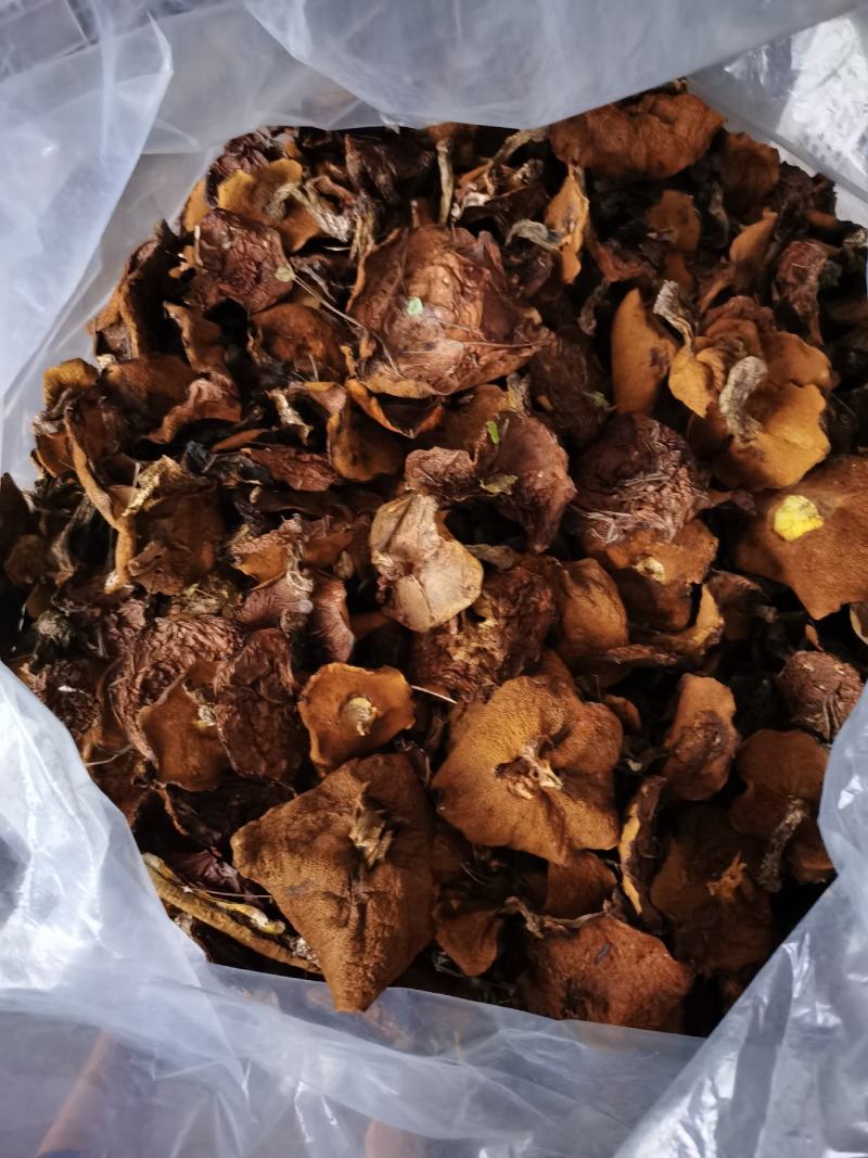 黄蘑，松蘑，黏团子