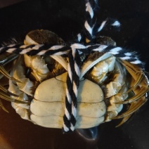 批发大闸蟹…产地**每天上万斤货要货提前联系我大量供应
