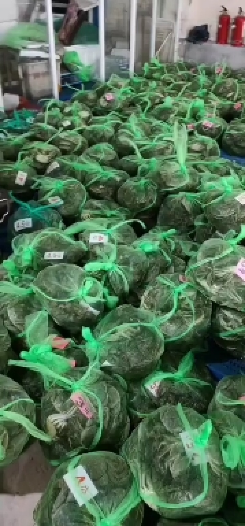 批发大闸蟹…产地**每天上万斤货要货提前联系我大量供应