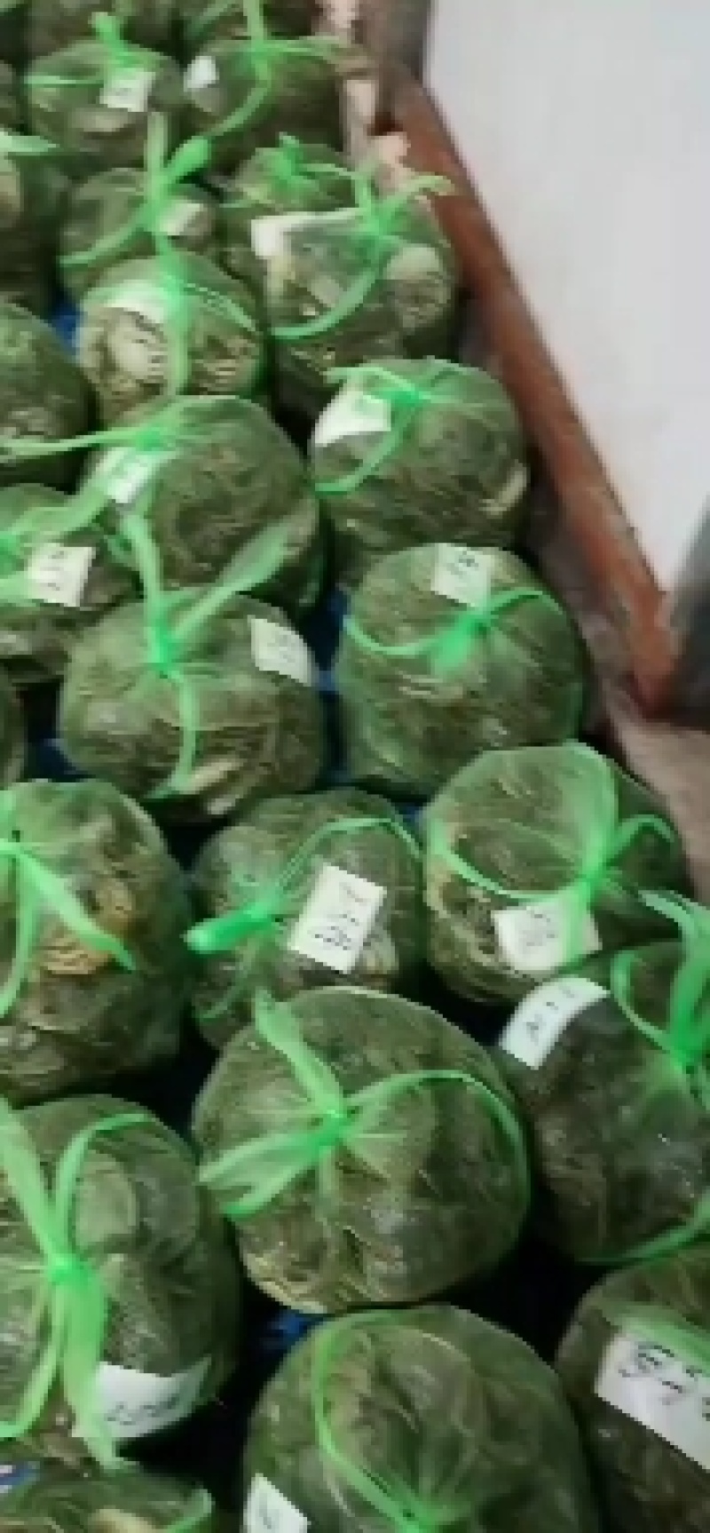 批发大闸蟹…产地**每天上万斤货要货提前联系我大量供应