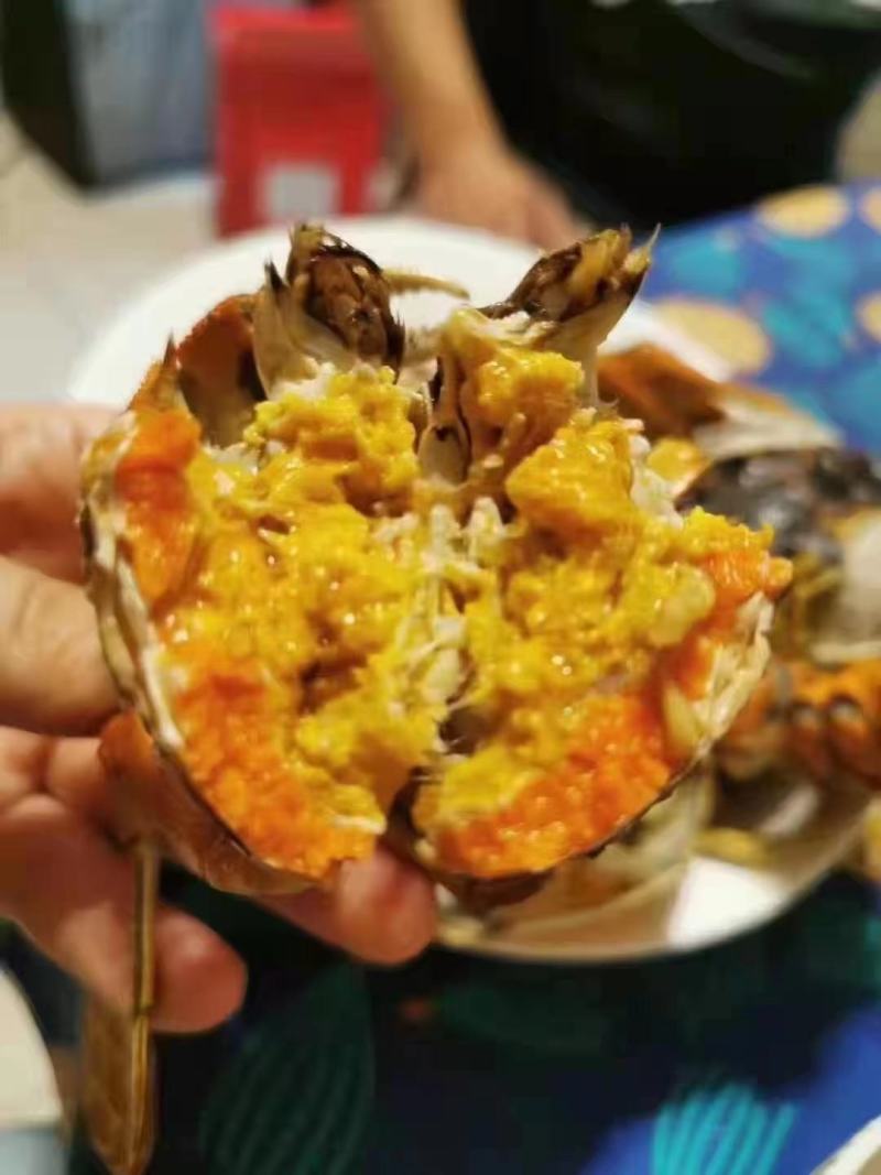 批发大闸蟹…产地**每天上万斤货要货提前联系我大量供应