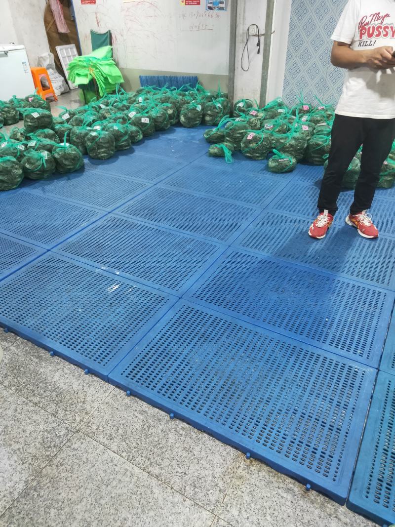 批发大闸蟹…产地**每天上万斤货要货提前联系我大量供应