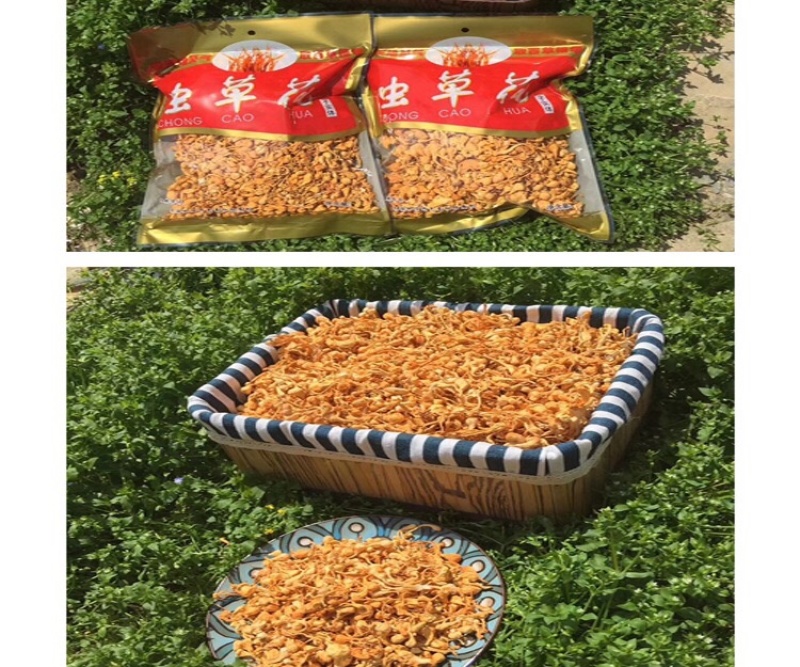 无硫虫草花优质靓货煲汤