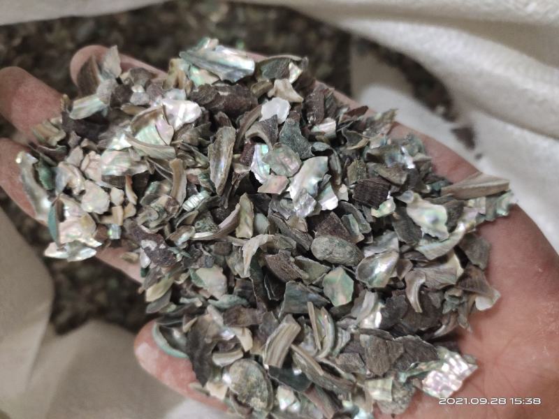 【文斌药业】石决明矿石类批发零售量大从优
