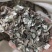 【文斌药业】石决明矿石类批发零售量大从优