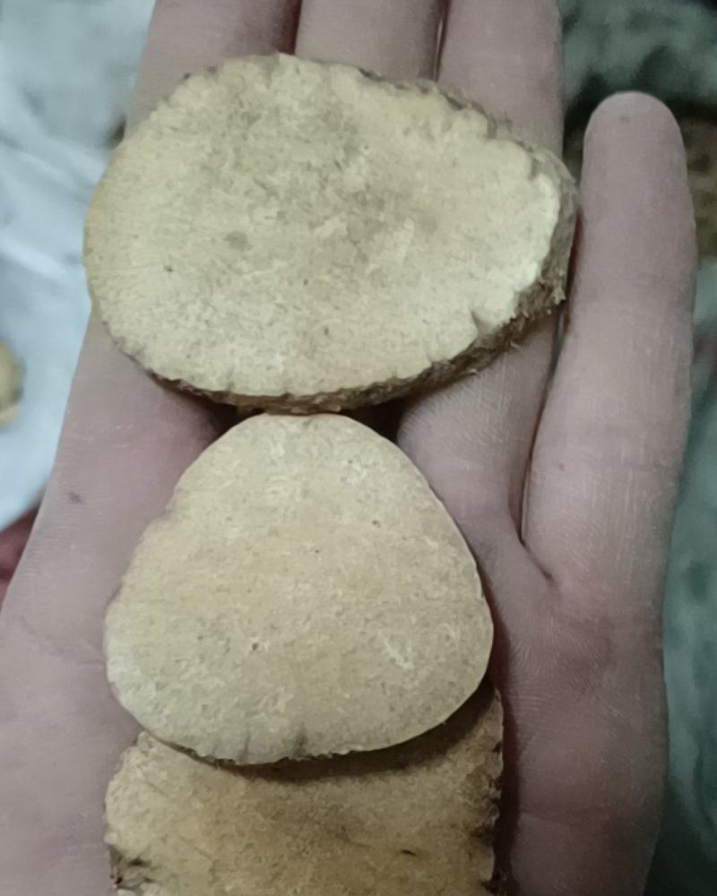 泽泻优质泽泻片产地自销一手货源批发各种中药材