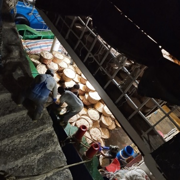 虾皮，淡虾皮，咸虾皮，中国虾皮之乡霞关镇，国家一级鱼港，