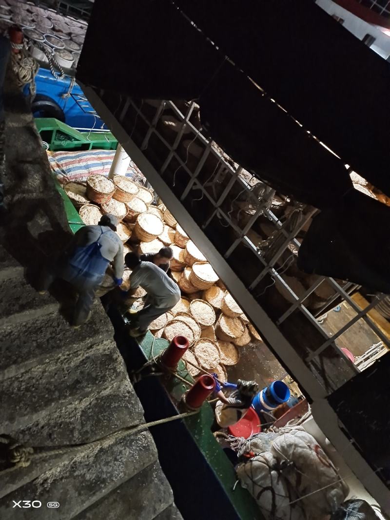 虾皮，淡虾皮，咸虾皮，中国虾皮之乡霞关镇，国家一级鱼港，