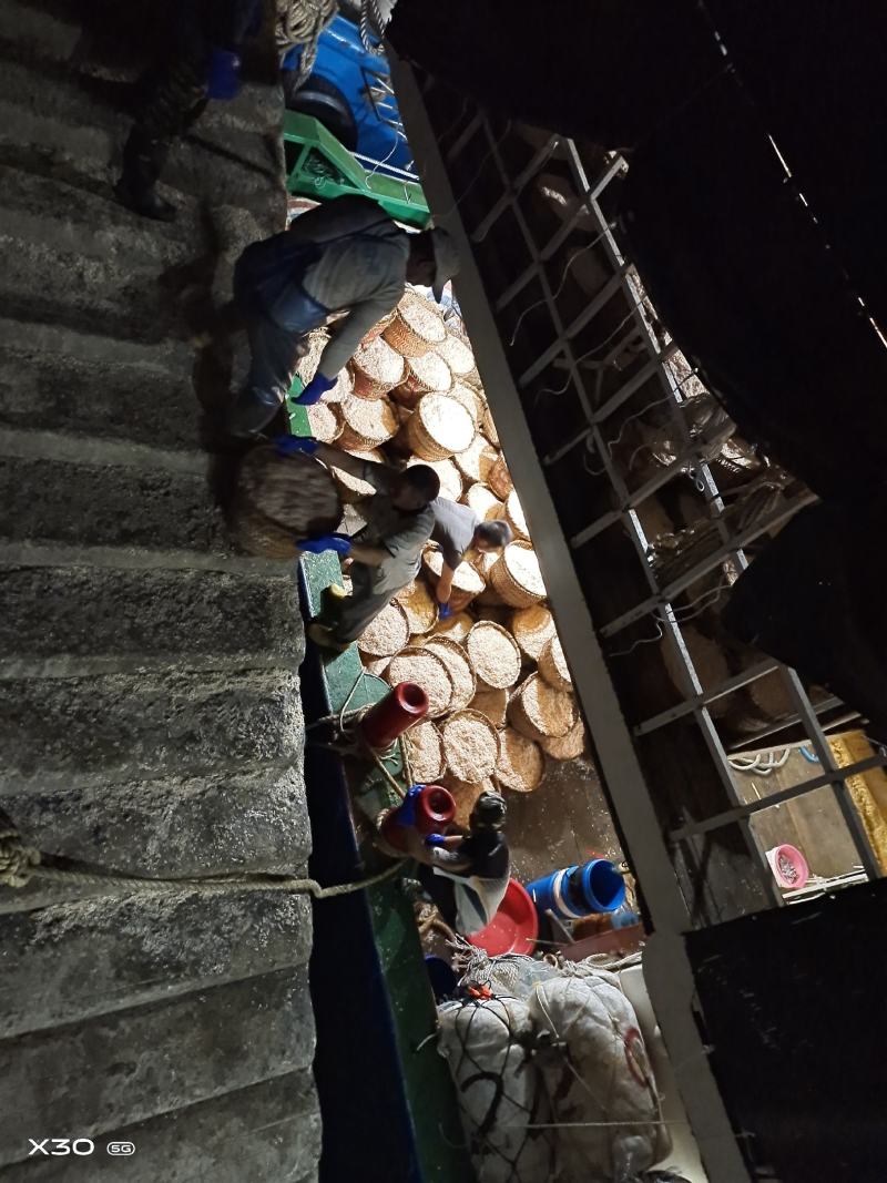 虾皮，淡虾皮，咸虾皮，中国虾皮之乡霞关镇，国家一级鱼港，