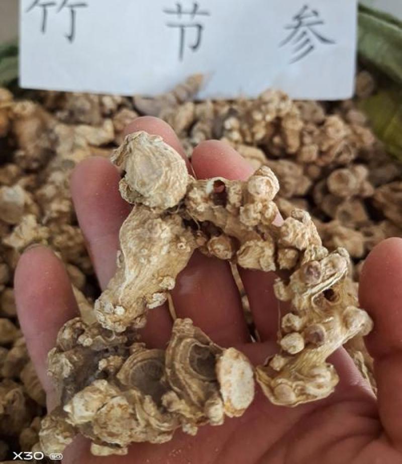 竹节参，竹节三七质量保证现货供应欢迎咨询合作！