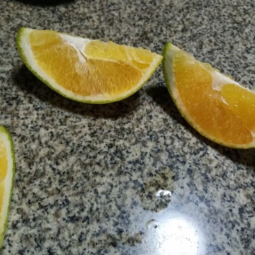 广西崇左扶绥纽荷尔脐橙
