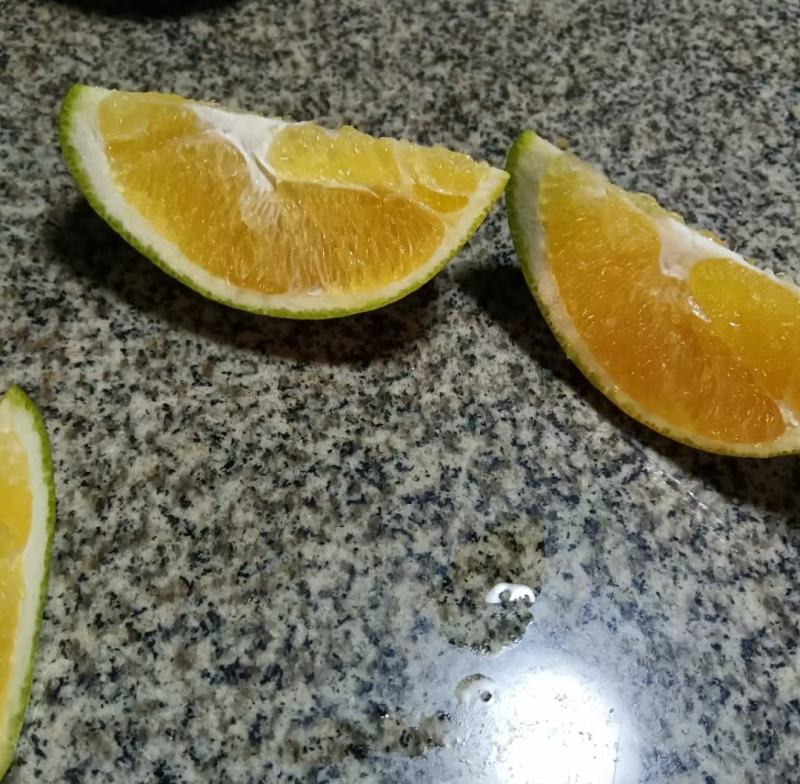 广西崇左扶绥纽荷尔脐橙