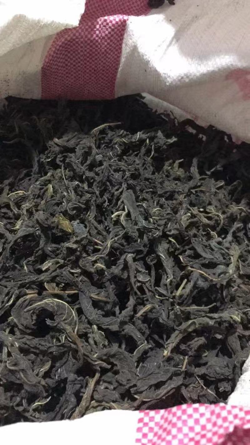 精品芝麻叶