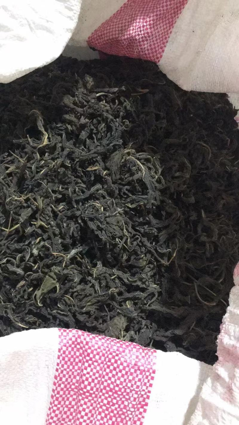 精品芝麻叶