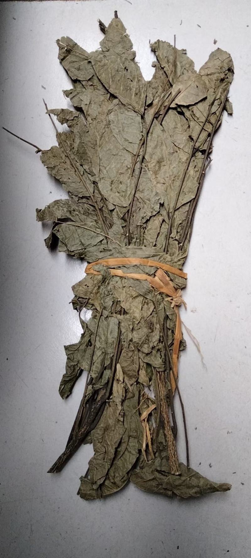 黄皮叶干货冷背专营量大从优！欢迎选购！