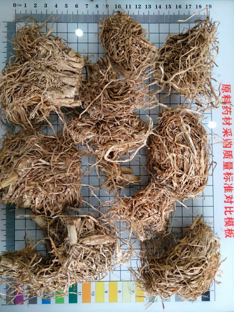 糯稻根中药材水洗糯稻根干净无杂质欢迎选购！