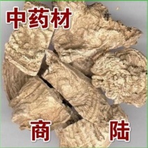 商陆，野生水洗商陆片无硫质量保证现货供应欢迎咨询购买！