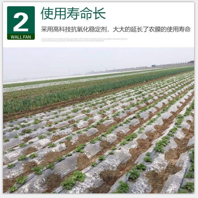 厂家直销小拱棚膜黑色地膜白色地膜银灰膜黑白相间膜