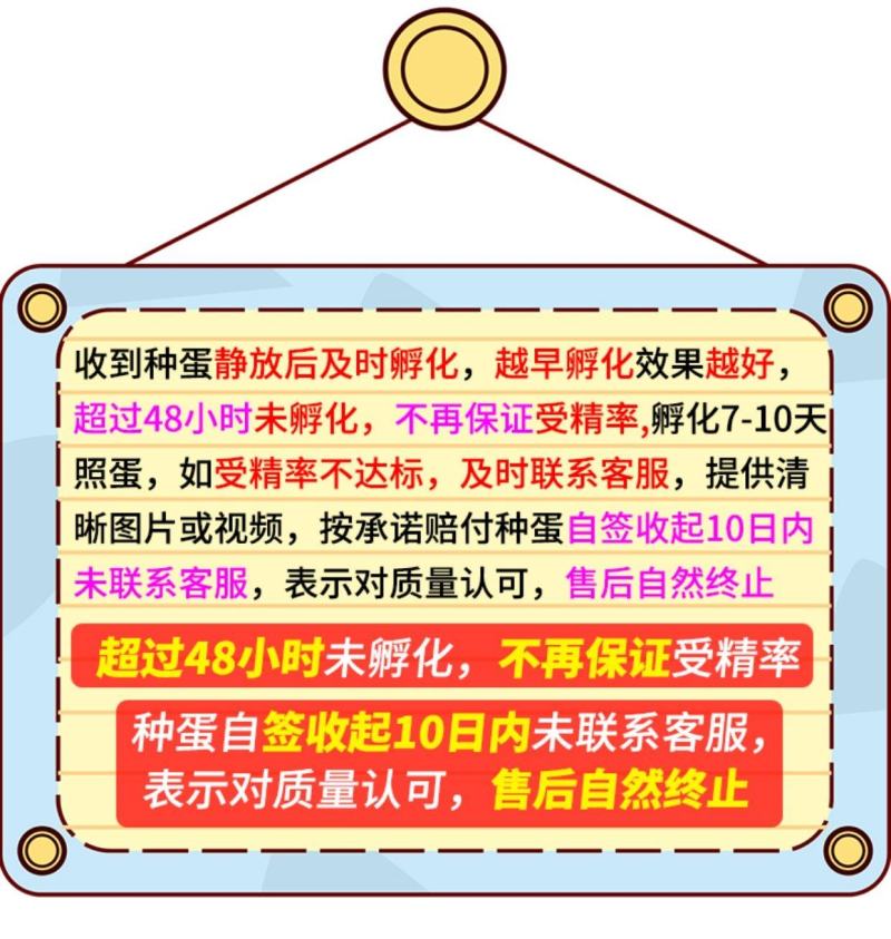 富凤种蛋农家散养中速型土鸡受精种蛋可孵化新鲜土鸡蛋