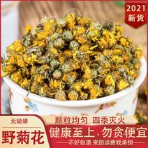 野生菊花干泡茶泡水批发药用胎菊小菊花包邮