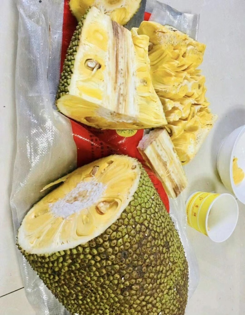广东菠萝蜜大量有货三包质量可以到场地亲自看货。品种齐全供应