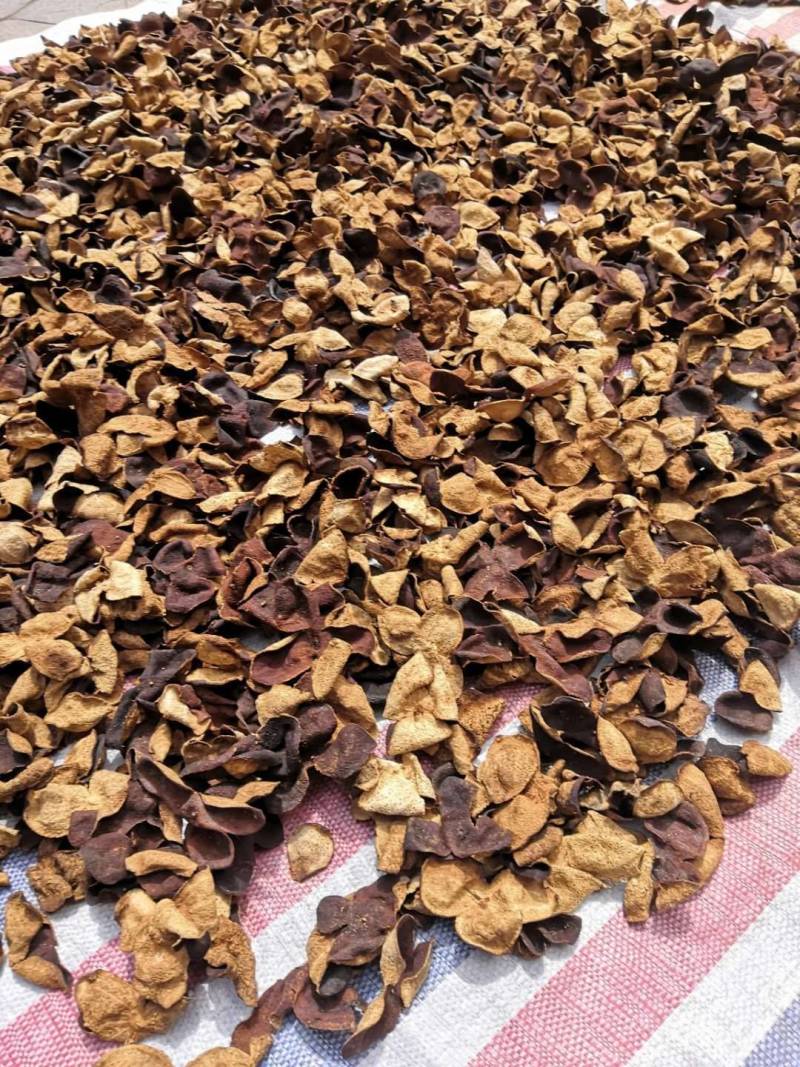 包邮5-40老陈皮老货陈皮陈皮无硫欢迎咨询