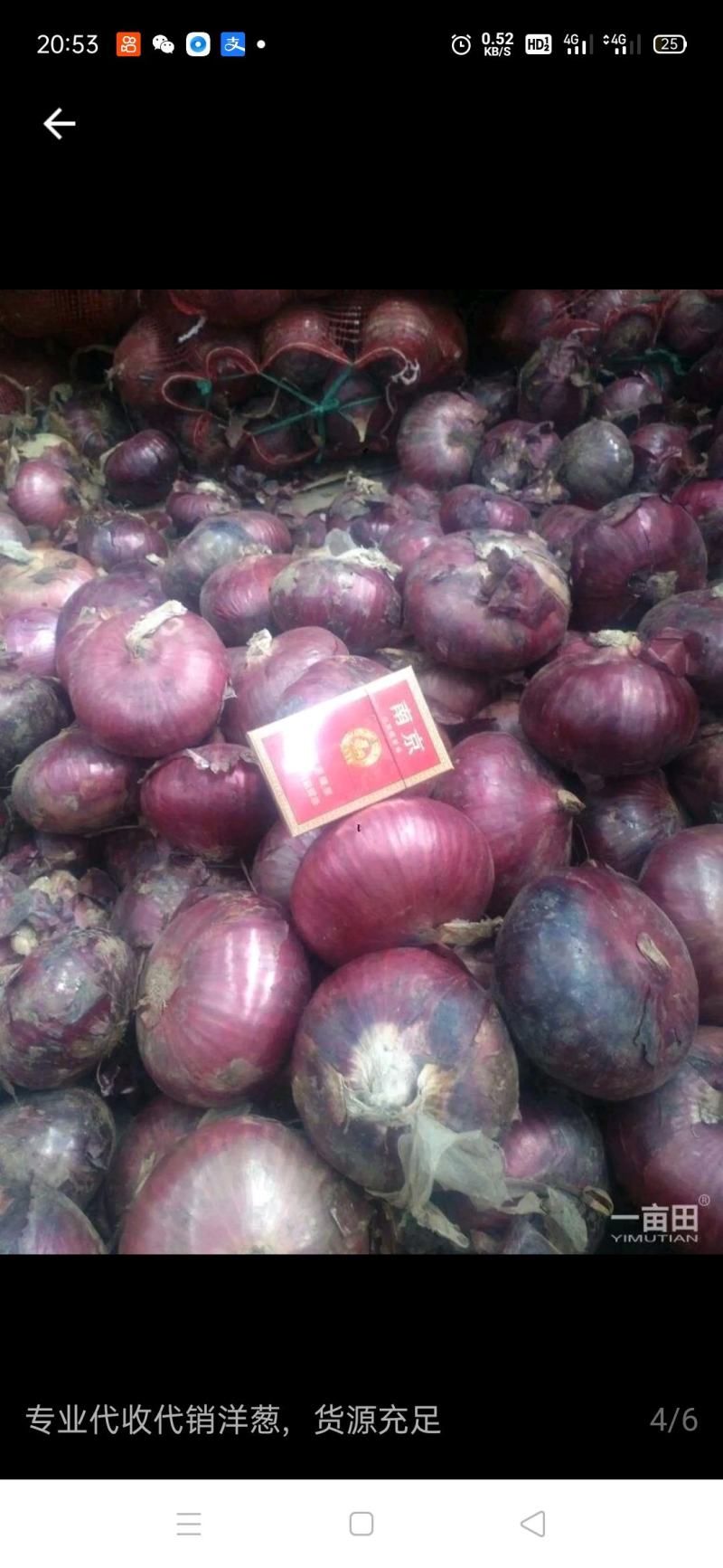 专业代收代销洋葱，货源充足