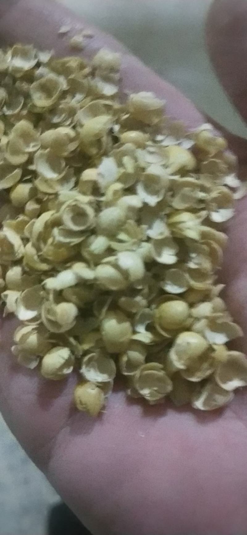 大豆皮