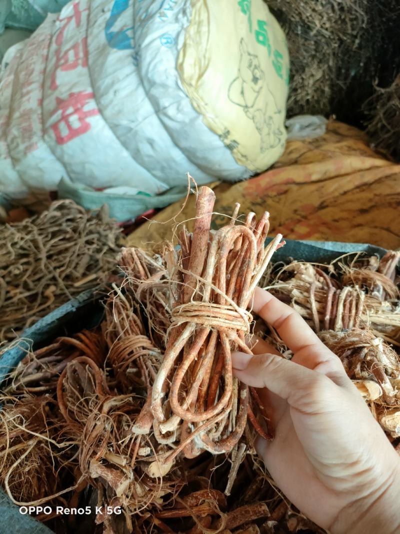 🔥🔥土茯苓碎末质优价廉～欢迎购买～