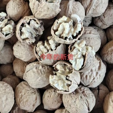 云南纸皮核桃干货产地直销一手货源品质保证