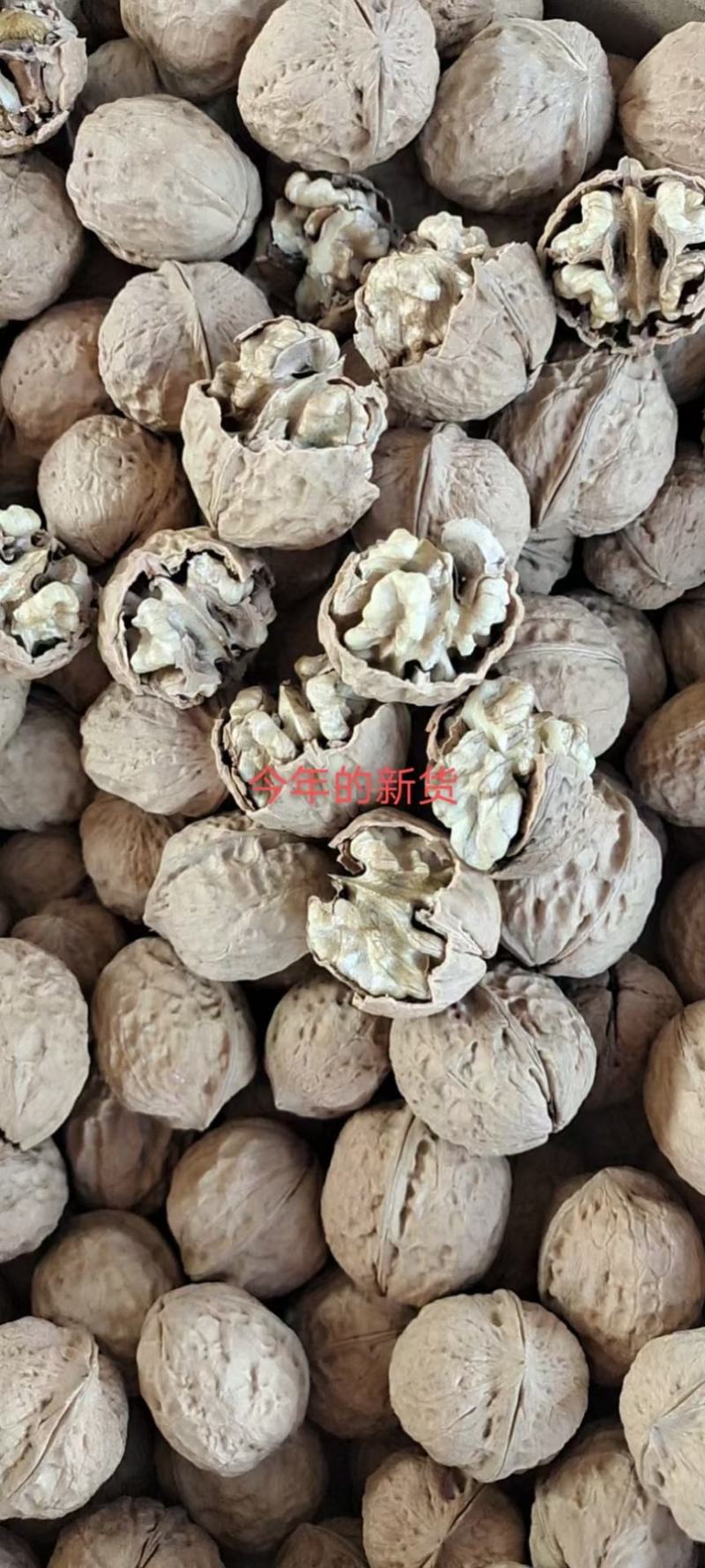 云南纸皮核桃干货产地直销一手货源品质保证