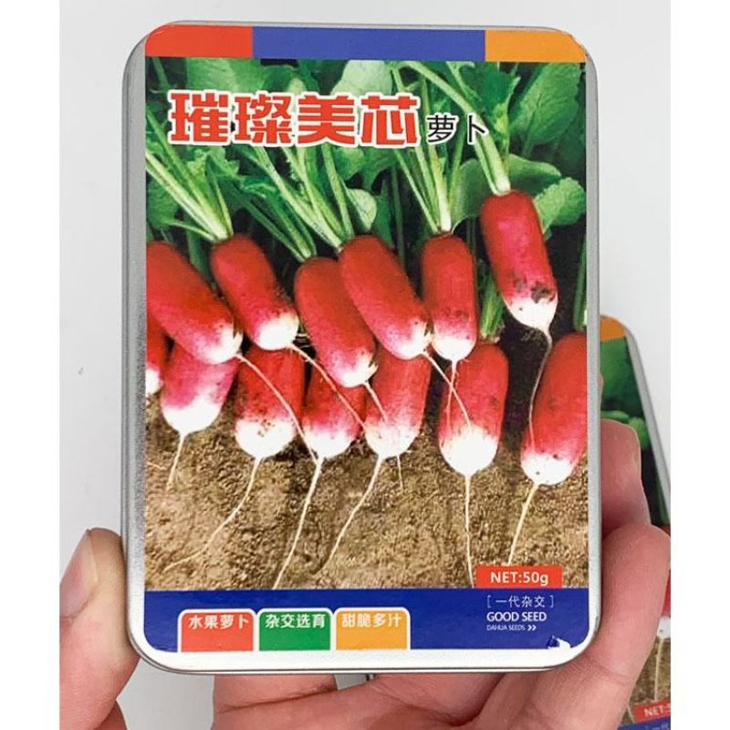 璀璨美芯杂交水果拇指萝卜种子25天采收薄皮萝卜籽50克
