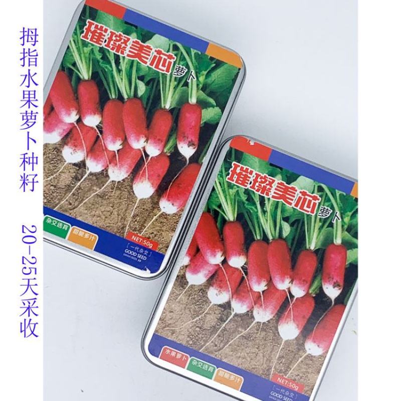 璀璨美芯杂交水果拇指萝卜种子25天采收薄皮萝卜籽50克